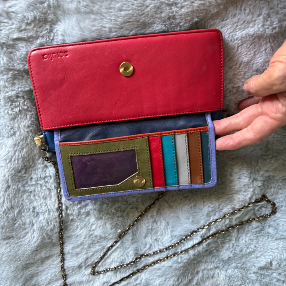 Saruka multi-colored crossbody clutch